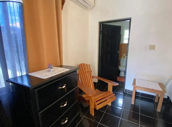 Deluxe Kamer met een King Size Bed